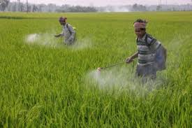 Pesticides